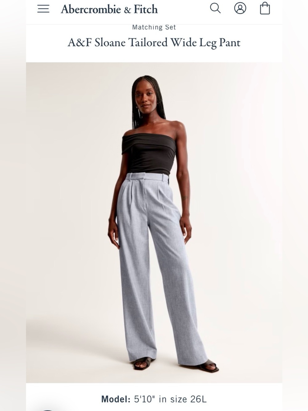 Abercrombie & Fitch Sloane Tailored Wide Leg Pant - Light Gray